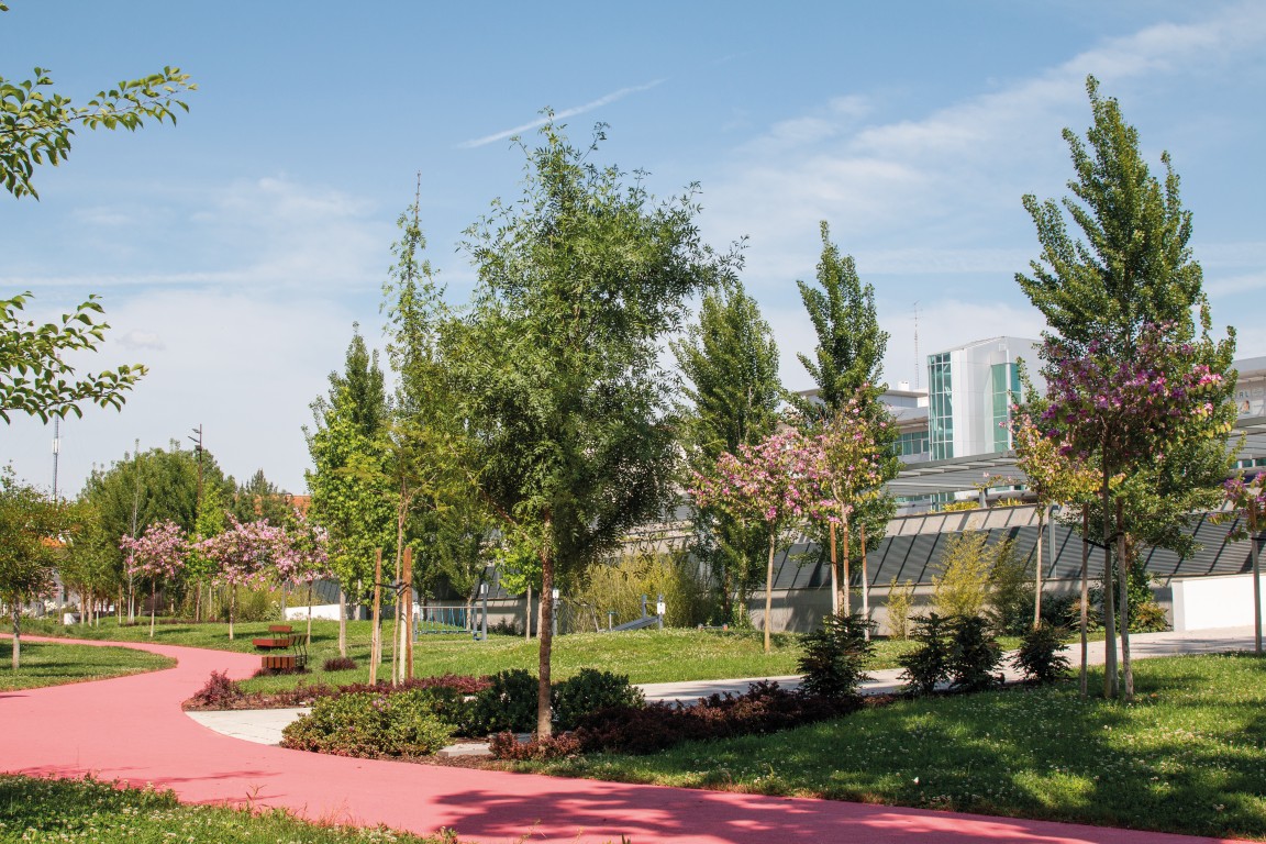 Comunicado | Captura de patos e gansos de forma a garantir a higiene e saúde pública dos jardins